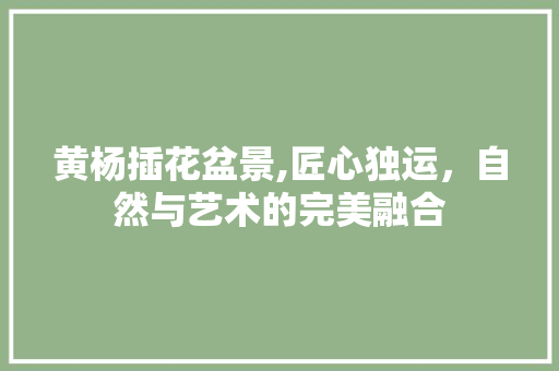 黄杨插花盆景,匠心独运，自然与艺术的完美融合
