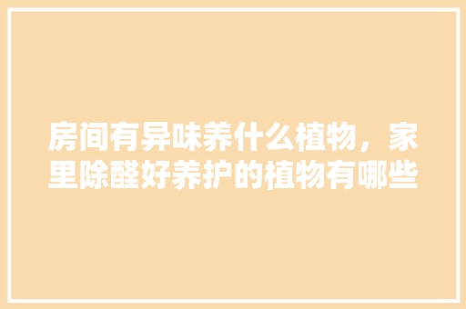 房间有异味养什么植物，家里除醛好养护的植物有哪些。