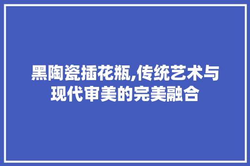 黑陶瓷插花瓶,传统艺术与现代审美的完美融合