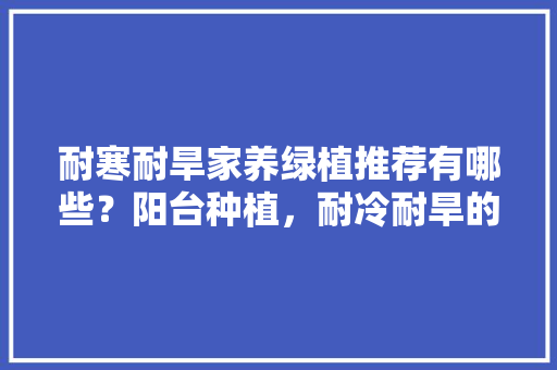 耐寒耐旱家养绿植推荐有哪些？阳台种植，耐冷耐旱的植物室内养护方法。