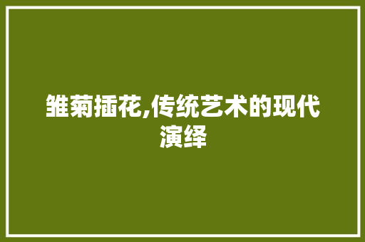 雏菊插花,传统艺术的现代演绎 土壤管理