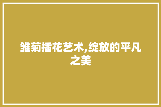 雏菊插花艺术,绽放的平凡之美