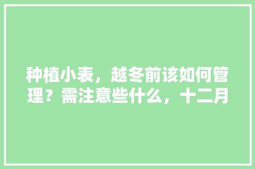种植小表，越冬前该如何管理？需注意些什么，十二月植物调整。