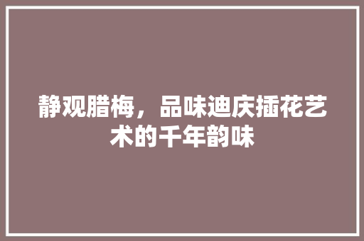 静观腊梅，品味迪庆插花艺术的千年韵味