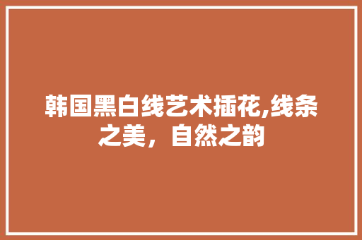 韩国黑白线艺术插花,线条之美，自然之韵 土壤管理