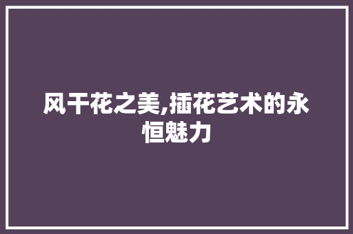 风干花之美,插花艺术的永恒魅力