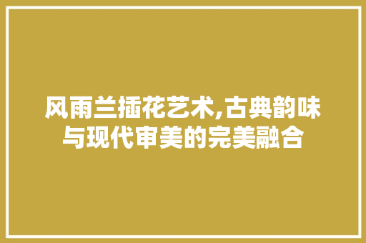 风雨兰插花艺术,古典韵味与现代审美的完美融合