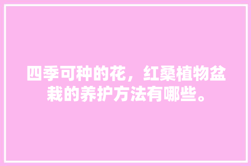 四季可种的花，红桑植物盆栽的养护方法有哪些。