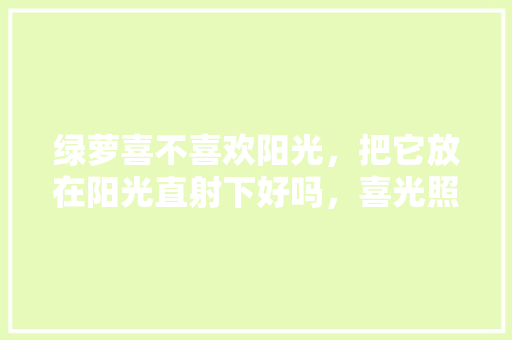 绿萝喜不喜欢阳光，把它放在阳光直射下好吗，喜光照的植物怎么养护好呢。  第1张 绿萝喜不喜欢阳光，把它放在阳光直射下好吗，喜光照的植物怎么养护好呢。 修剪技巧