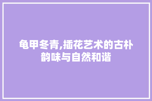 龟甲冬青,插花艺术的古朴韵味与自然和谐 园艺知识