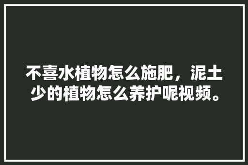 不喜水植物怎么施肥，泥土少的植物怎么养护呢视频。  第1张 不喜水植物怎么施肥，泥土少的植物怎么养护呢视频。 观叶植物