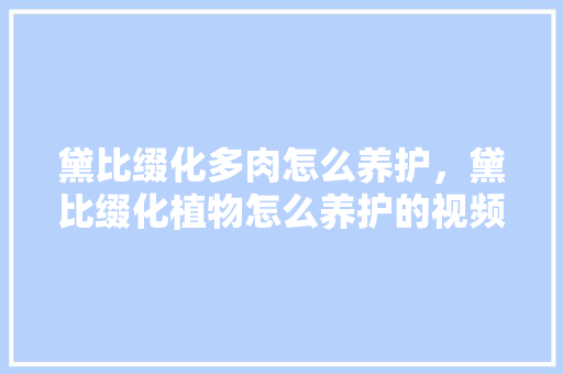 黛比缀化多肉怎么养护，黛比缀化植物怎么养护的视频。