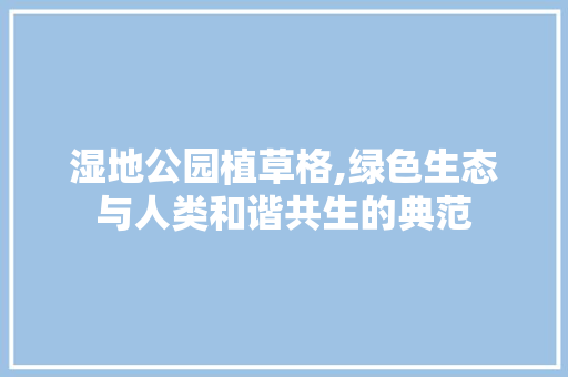 湿地公园植草格,绿色生态与人类和谐共生的典范