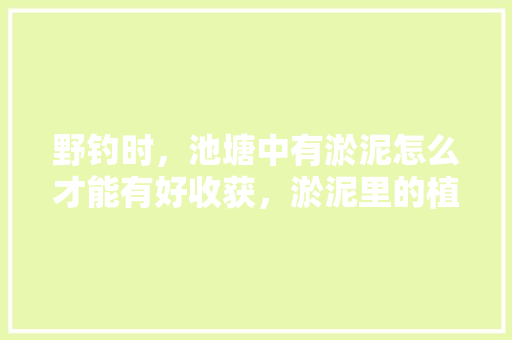 野钓时，池塘中有淤泥怎么才能有好收获，淤泥里的植物怎么养护呢视频。