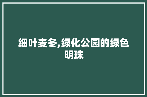 细叶麦冬,绿化公园的绿色明珠