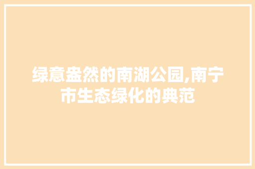 绿意盎然的南湖公园,南宁市生态绿化的典范