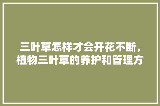三叶草怎样才会开花不断，植物三叶草的养护和管理方法。