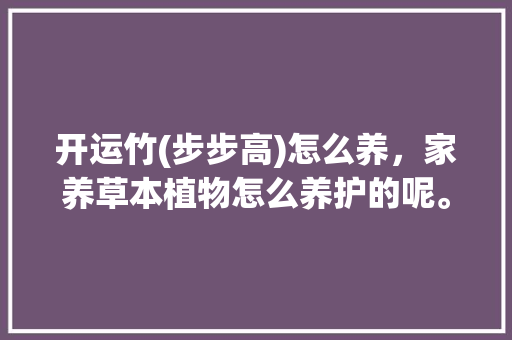 开运竹(步步高)怎么养，家养草本植物怎么养护的呢。  第1张 开运竹(步步高)怎么养，家养草本植物怎么养护的呢。 植物栽培