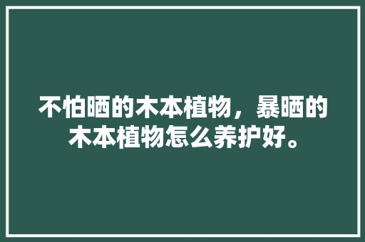 不怕晒的木本植物，暴晒的木本植物怎么养护好。  第1张 不怕晒的木本植物，暴晒的木本植物怎么养护好。 养护技巧