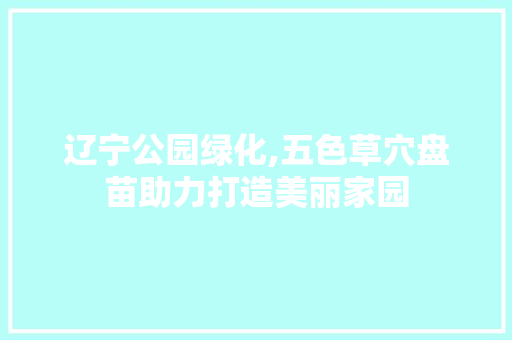 辽宁公园绿化,五色草穴盘苗助力打造美丽家园