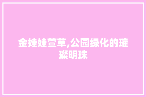 金娃娃萱草,公园绿化的璀璨明珠