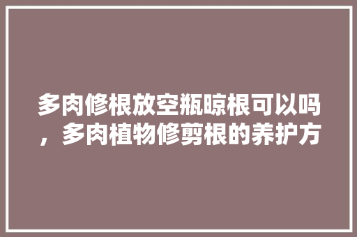 多肉修根放空瓶晾根可以吗，多肉植物修剪根的养护方法。