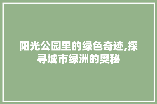 阳光公园里的绿色奇迹,探寻城市绿洲的奥秘