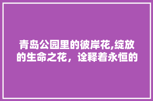 青岛公园里的彼岸花,绽放的生命之花，诠释着永恒的美丽