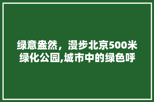 绿意盎然，漫步北京500米绿化公园,城市中的绿色呼吸空间 灌溉方法