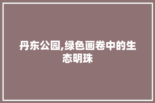 丹东公园,绿色画卷中的生态明珠