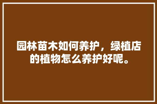 园林苗木如何养护，绿植店的植物怎么养护好呢。
