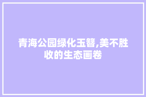 青海公园绿化玉簪,美不胜收的生态画卷