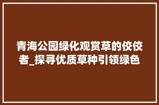 青海公园绿化观赏草的佼佼者_探寻优质草种引领绿色未来