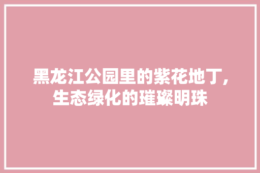 黑龙江公园里的紫花地丁,生态绿化的璀璨明珠