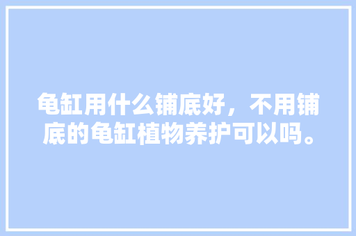 龟缸用什么铺底好，不用铺底的龟缸植物养护可以吗。
