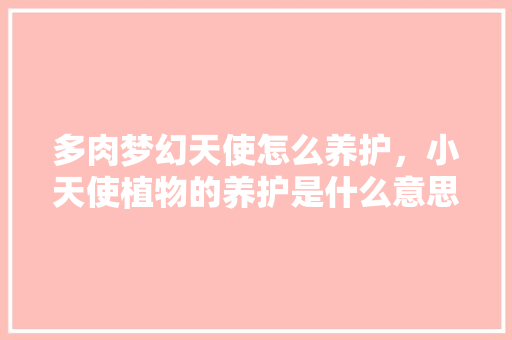 多肉梦幻天使怎么养护，小天使植物的养护是什么意思。