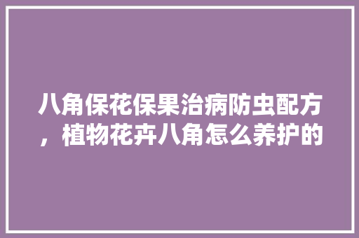 八角保花保果治病防虫配方，植物花卉八角怎么养护的视频。