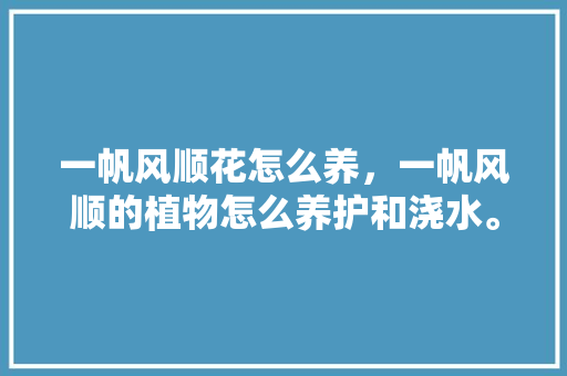 一帆风顺花怎么养，一帆风顺的植物怎么养护和浇水。
