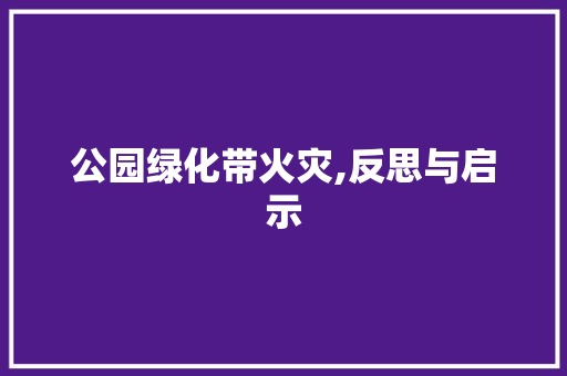 公园绿化带火灾,反思与启示