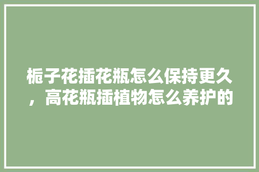 栀子花插花瓶怎么保持更久，高花瓶插植物怎么养护的视频。