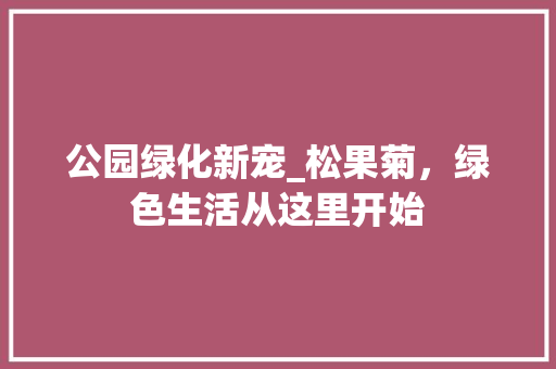 公园绿化新宠_松果菊，绿色生活从这里开始