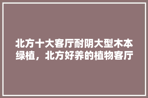 北方十大客厅耐阴大型木本绿植，北方好养的植物客厅养护方法。