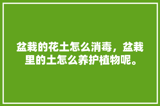 盆栽的花土怎么消毒，盆栽里的土怎么养护植物呢。