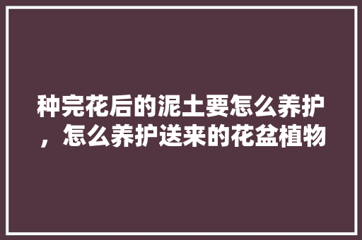 种完花后的泥土要怎么养护，怎么养护送来的花盆植物呢。  第1张 种完花后的泥土要怎么养护，怎么养护送来的花盆植物呢。 爬藤植物