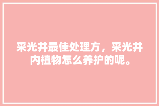 采光井最佳处理方，采光井内植物怎么养护的呢。