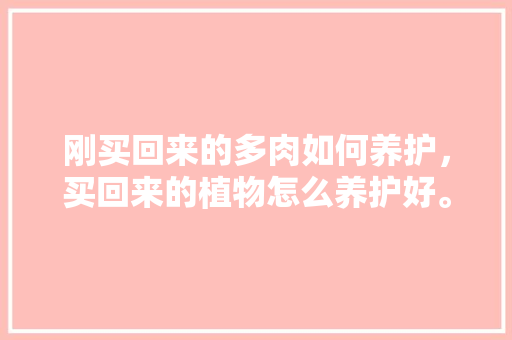 刚买回来的多肉如何养护，买回来的植物怎么养护好。