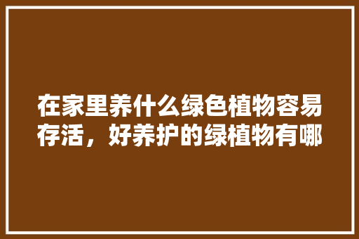 在家里养什么绿色植物容易存活，好养护的绿植物有哪些呢图片。  第1张 在家里养什么绿色植物容易存活，好养护的绿植物有哪些呢图片。 植物养护