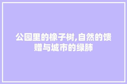 公园里的橡子树,自然的馈赠与城市的绿肺