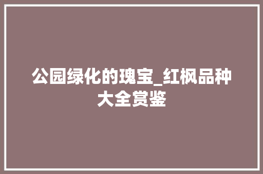 公园绿化的瑰宝_红枫品种大全赏鉴