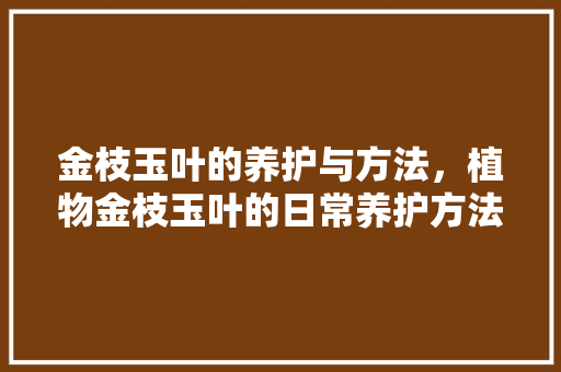 金枝玉叶的养护与方法，植物金枝玉叶的日常养护方法。